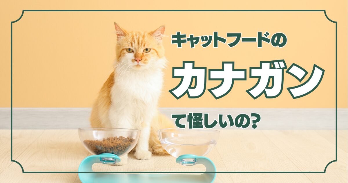 「キャットフード カナガンは怪しい」の口コミの真実と安全性の評価