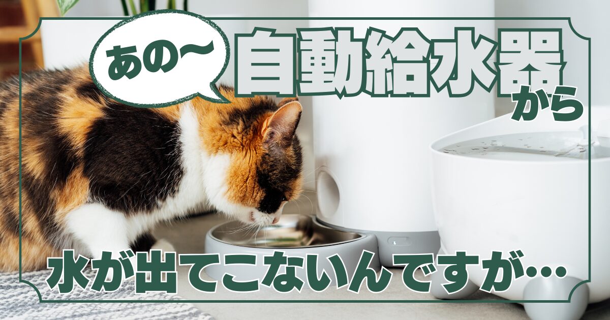 猫の自動給餌器：デメリットとメリットを徹底解説！適切な選び方も紹介