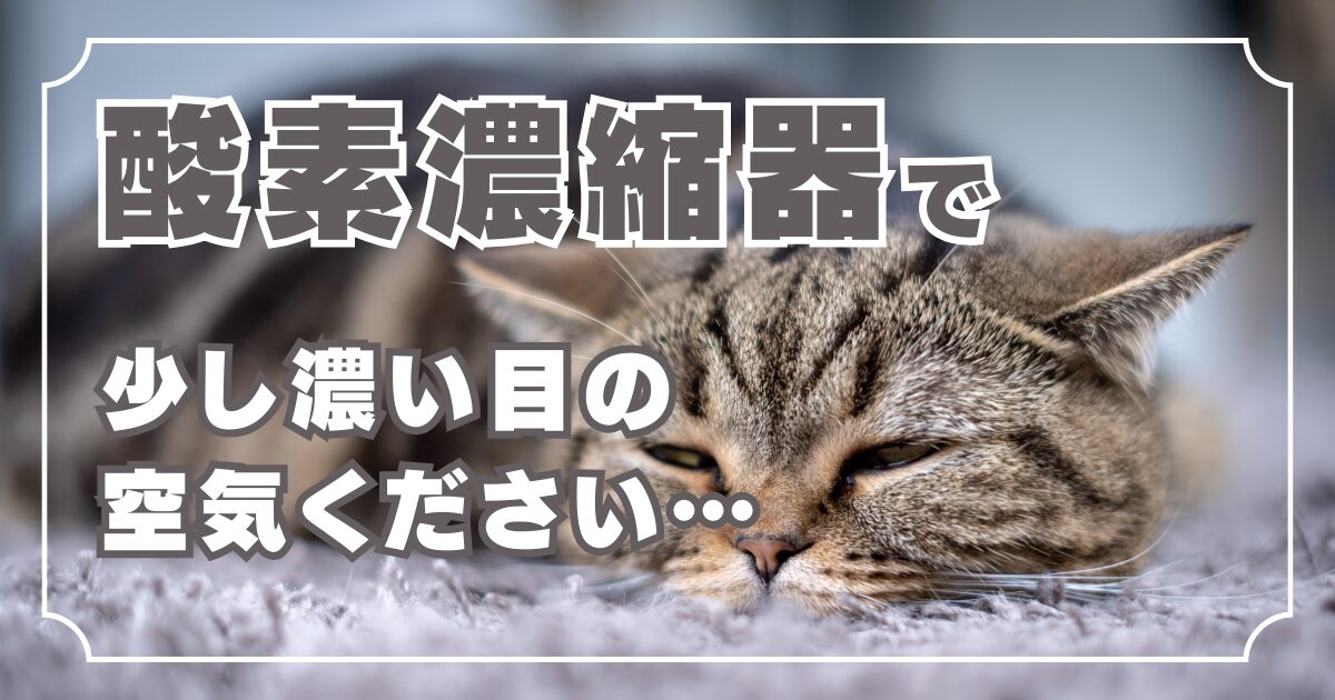 猫用酸素濃縮器「オーツーペット」の効果と注意点：実際の口コミも紹介