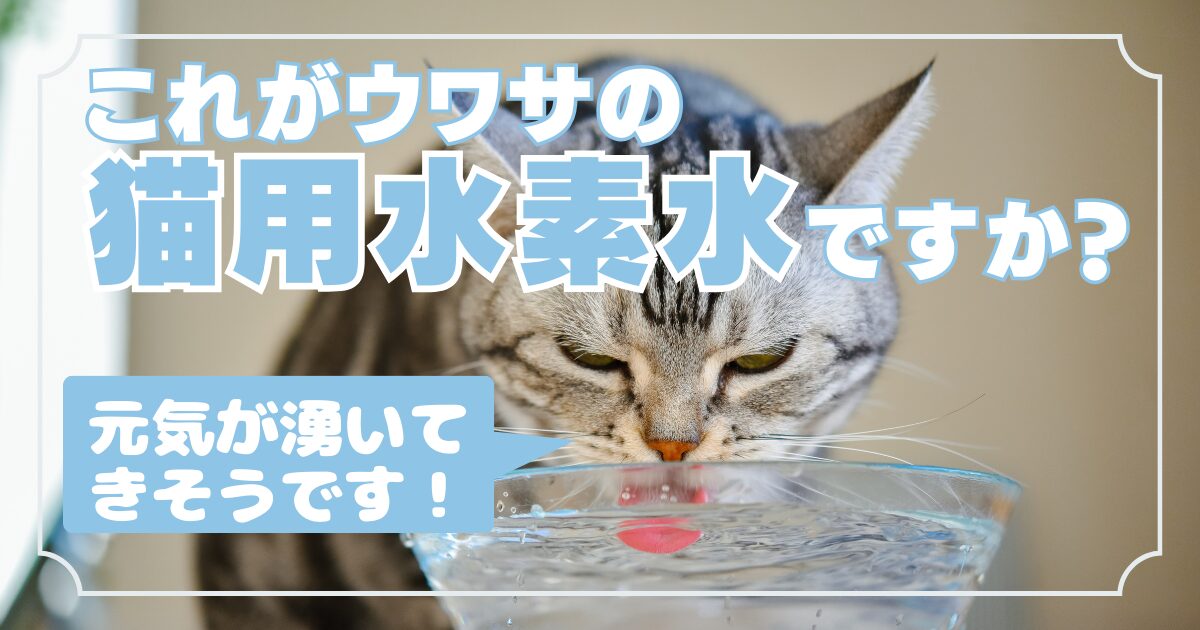 猫に水素水は効果ある？科学的根拠と使用法【おすすめ水素水も紹介】